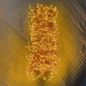 NWOT LED Cluster Light Garland - 25 Feet, 960 Warm White Lights, Copper Wire, …